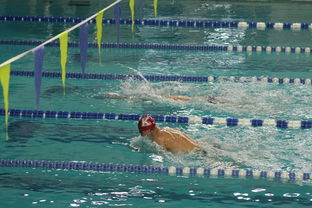 九游娱乐网站-“新加坡泳池见证泳坛巨星！2025世界游泳锦标赛激烈开赛”  第3张